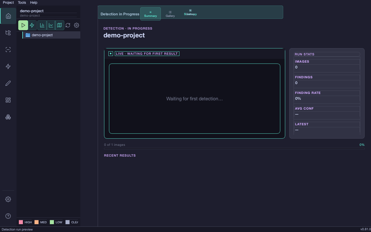 Detection Results